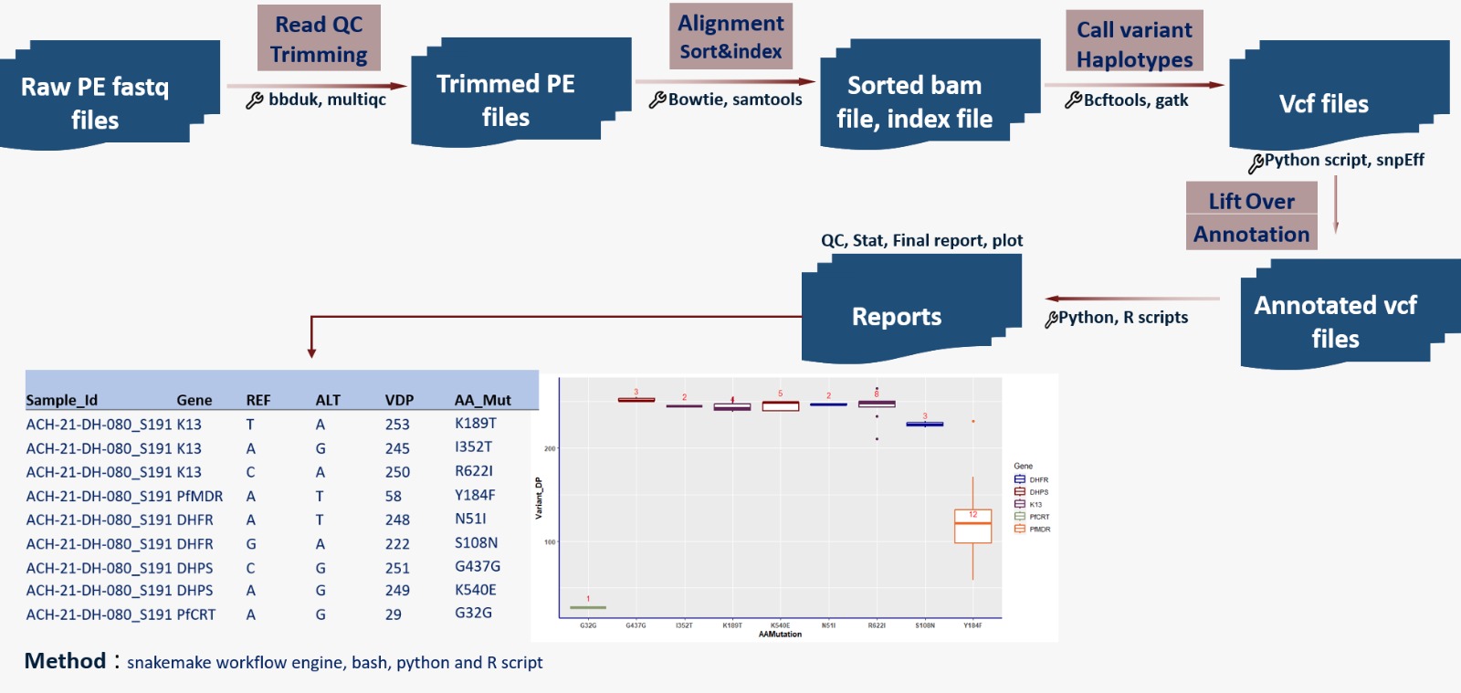 Overview of the RiFA pipeline