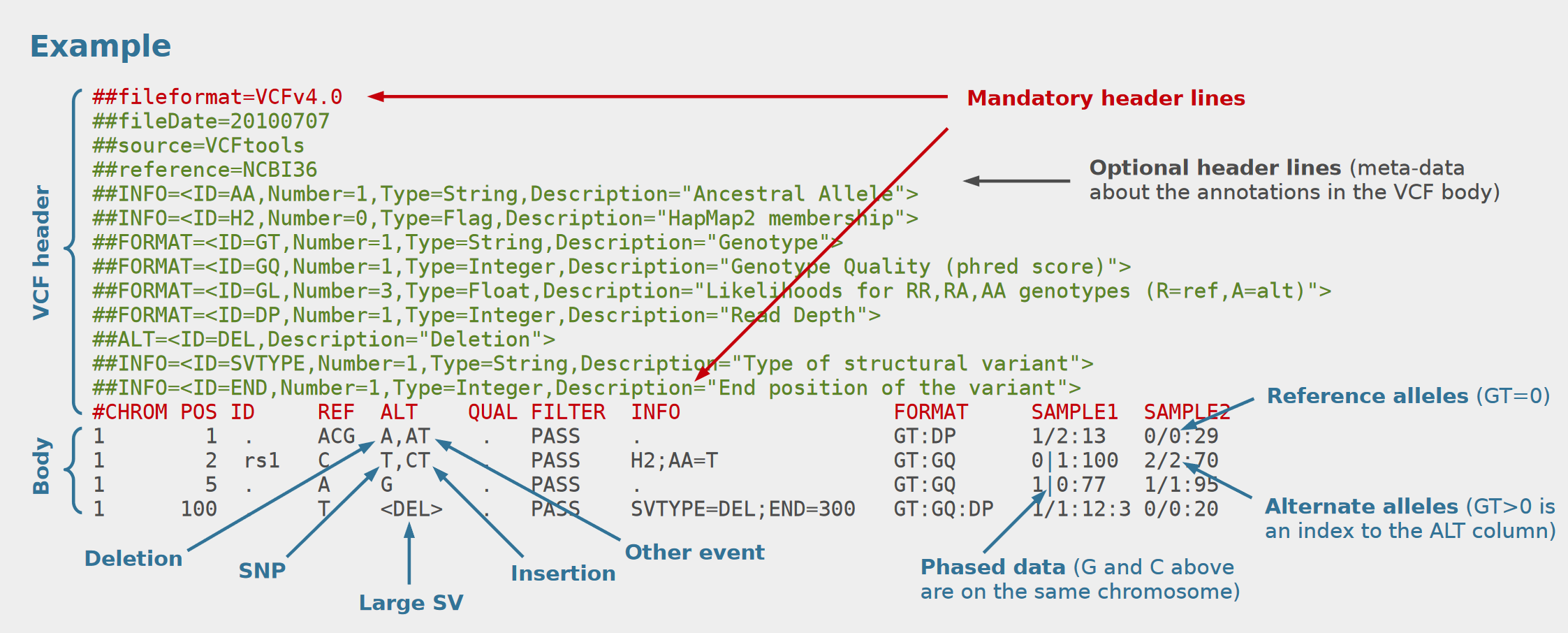 Overview of Variant Call Format (VCF). Source: https://vcftools.sourceforge.net/VCF-poster.pdf
